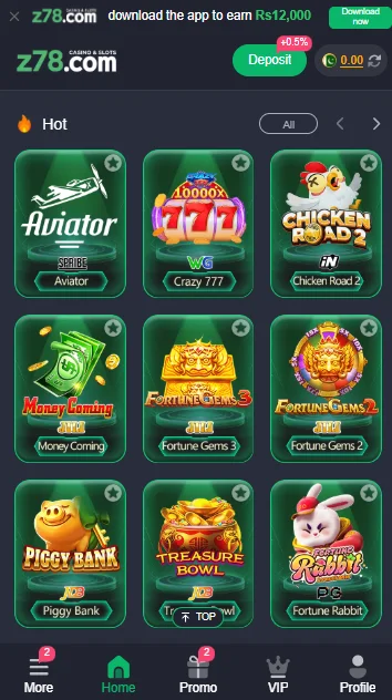 Z78 Game